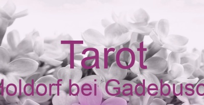 Tarot Holdorf bei Gadebusch | Top-Experten für Kartenlegen, Wahrsagen, Hellsehen, Zukunftsdeutung. Tarot Holdorf bei Gadebusch | Top-Experten für Kartenlegen, Wahrsagen, Hellsehen, Zukunftsdeutung.